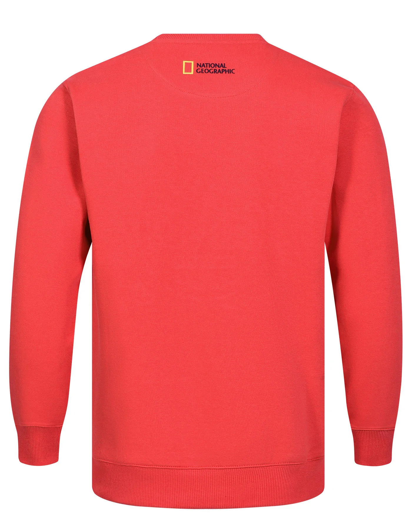 Orange Plain Sweatshirt - Image 5
